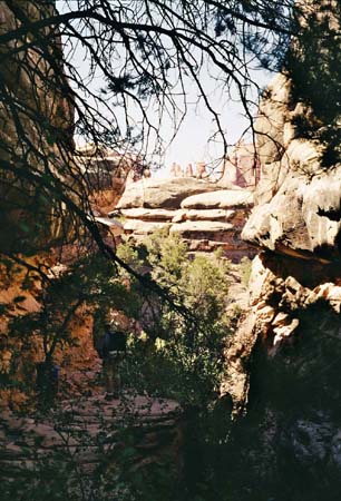 canyonlands7