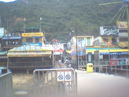 lamma